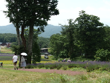 P7290383