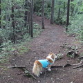 Photos: P8300375