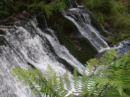 P8300380