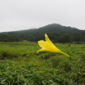 Photos: P1010046
