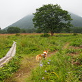 Photos: P1010051