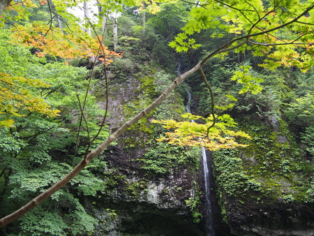 P9030110