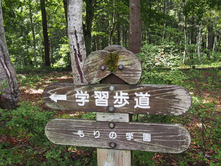 P9060006