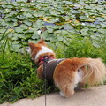 Photos: P9060055