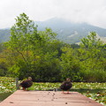 Photos: P9060071