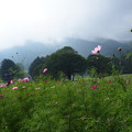 Photos: P9060081