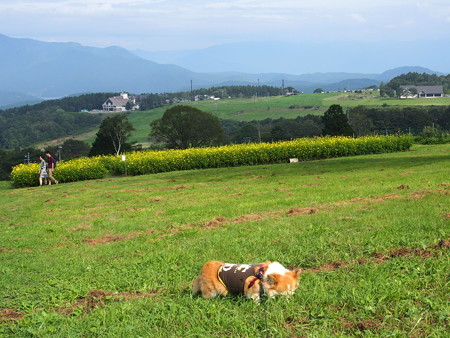 P9060084