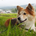 Photos: P9060090