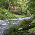 Photos: P9090173