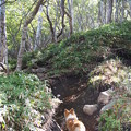 Photos: P9160147