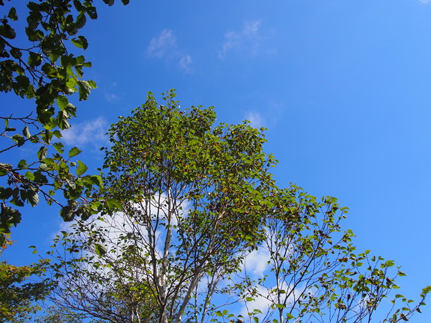 Photos: P9160154