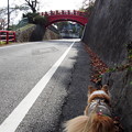 Photos: PB168447