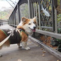 Photos: PB168486