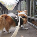 Photos: PB168488
