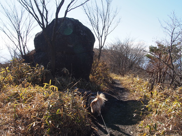 Photos: PC018446