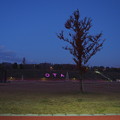 Photos: PC038410