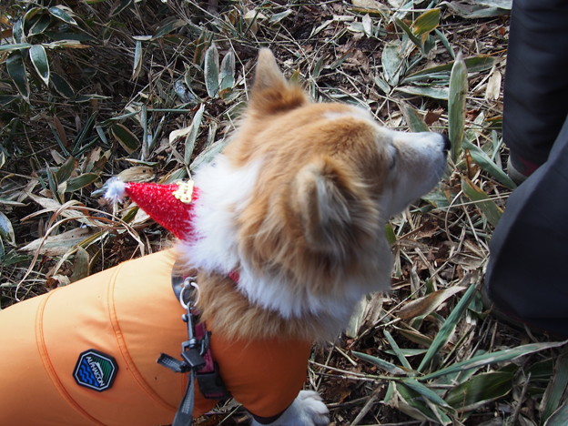 Photos: PC068569