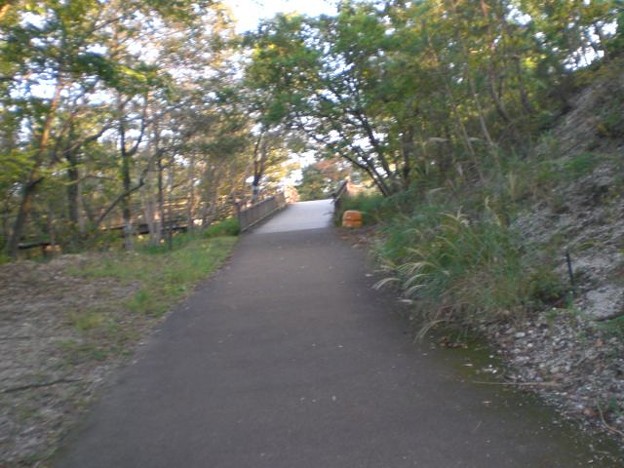山道