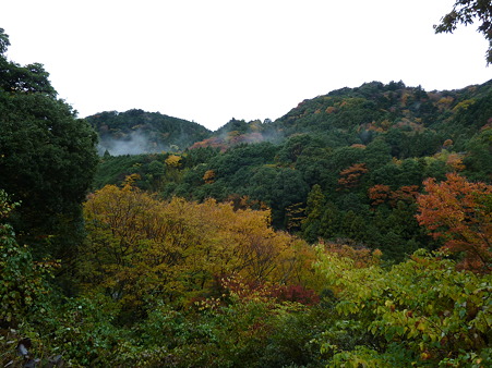 2010箱根伊豆 161