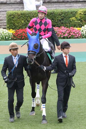 スマートオーディン パドック(第20回 東京スポーツ杯2歳ステークス)