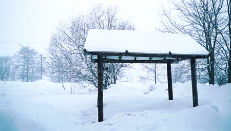 雪景色