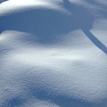 Photos: 雪