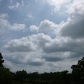 本日の空＠函南町柏谷公園