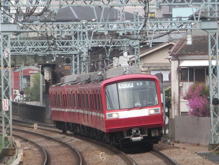 CIMG0281