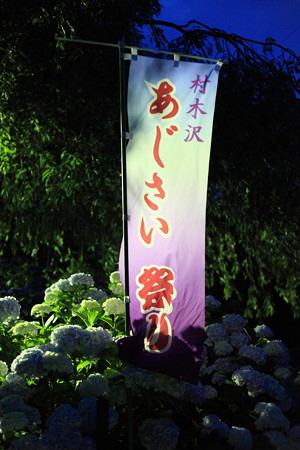 村木沢あじさい祭り