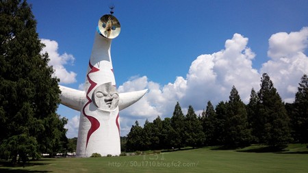 140830-万博記念公園 (11.5)