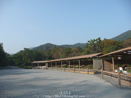 151021-伊勢神宮 内宮 (14)