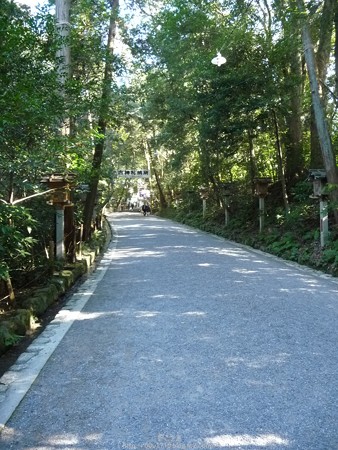151230-三輪神社 (12)