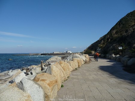 160110-伊良湖岬 (1)