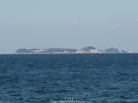 160110-伊良湖岬 (8)