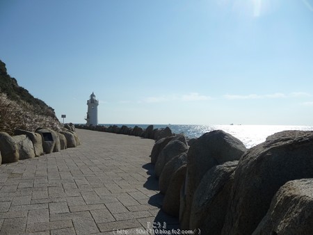 160110-伊良湖岬 (11)