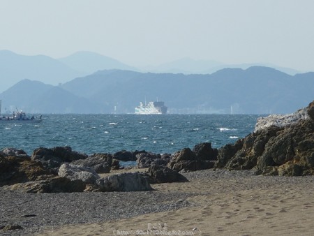 160110-伊良湖岬 (39)