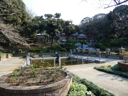 160321-元町公園 (13)