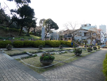 160321-元町公園 (33)