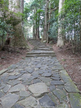 160324-熊野古道 大門坂 (49)