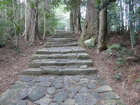 160324-熊野古道 大門坂 (51)