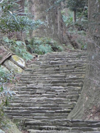 160324-熊野古道 大門坂 (59)