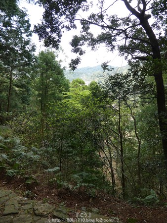 160324-熊野古道 大門坂 (74)