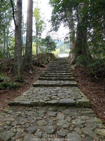 160324-熊野古道 大門坂 (85)