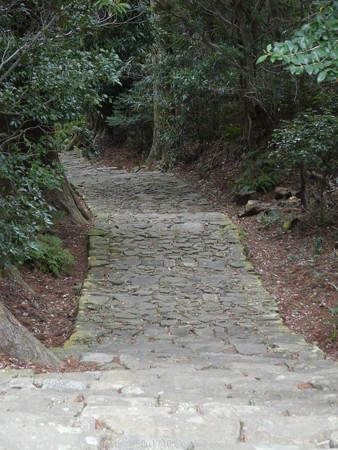 160324-熊野古道 大門坂 (88)