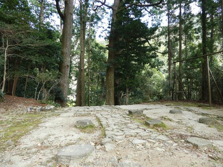 160324-熊野那智大社 熊野古道 (4)
