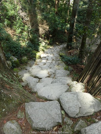 160324-熊野那智大社 熊野古道 (10)