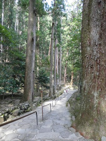 160324-那智の滝 (8)