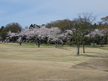 160406-日本平ホテル (53)