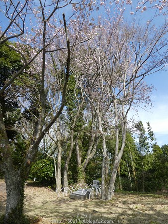 160406-日本平ホテル (36)