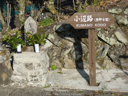 160325-熊野古道 小辺路 (2)